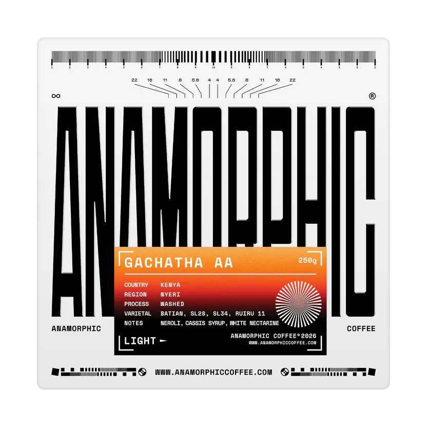 Gachatha AA - Washed - Kenya
