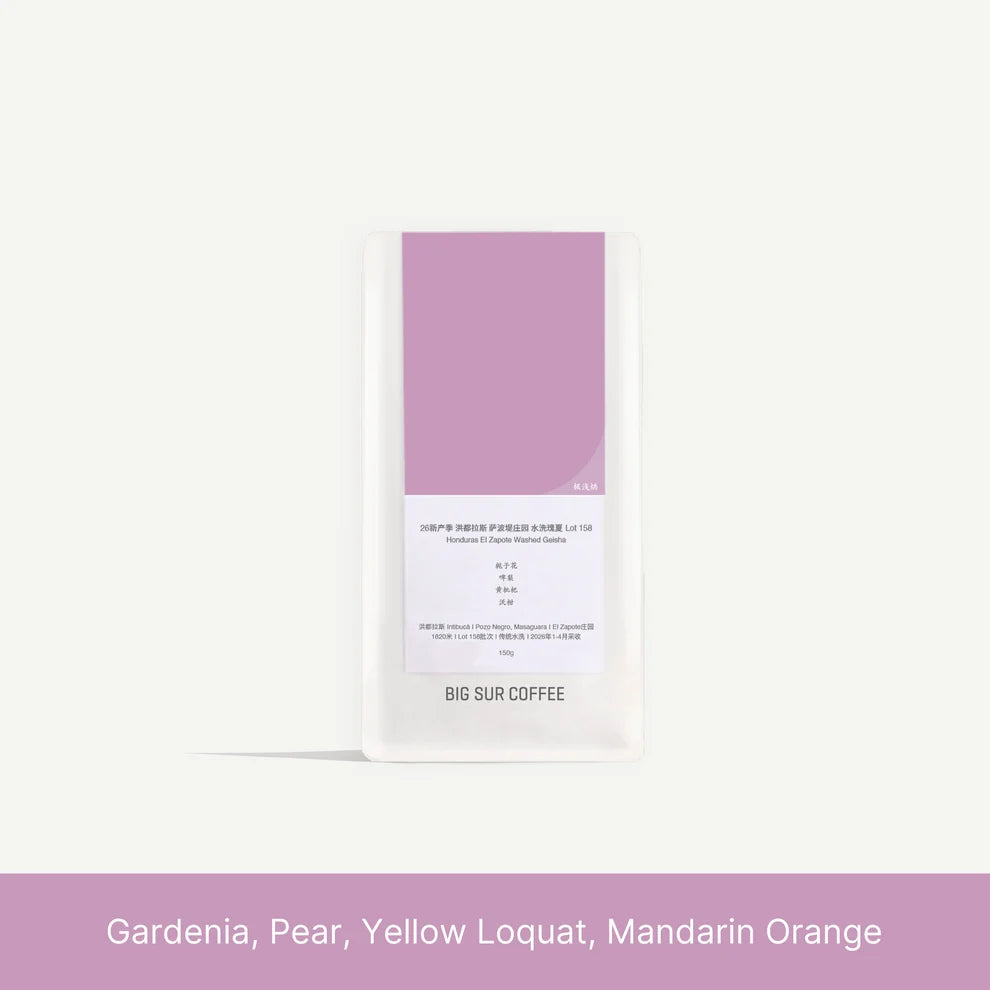 El Zapote Lot 158 - Geisha - Washed - Honduras