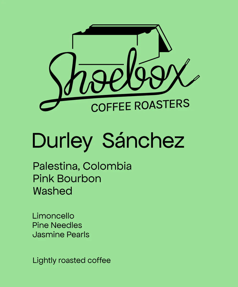 Colombia Durley Sánchez Pink Bourbon Washed