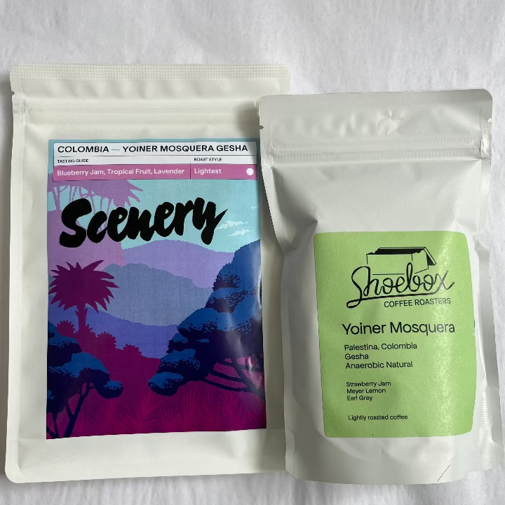 Scenery VS Shoebox - Yoiner Mosquera Bundle