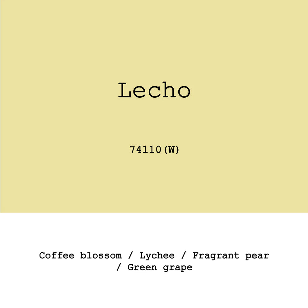 Lecho 74110 Fully Washed - Ethiopia