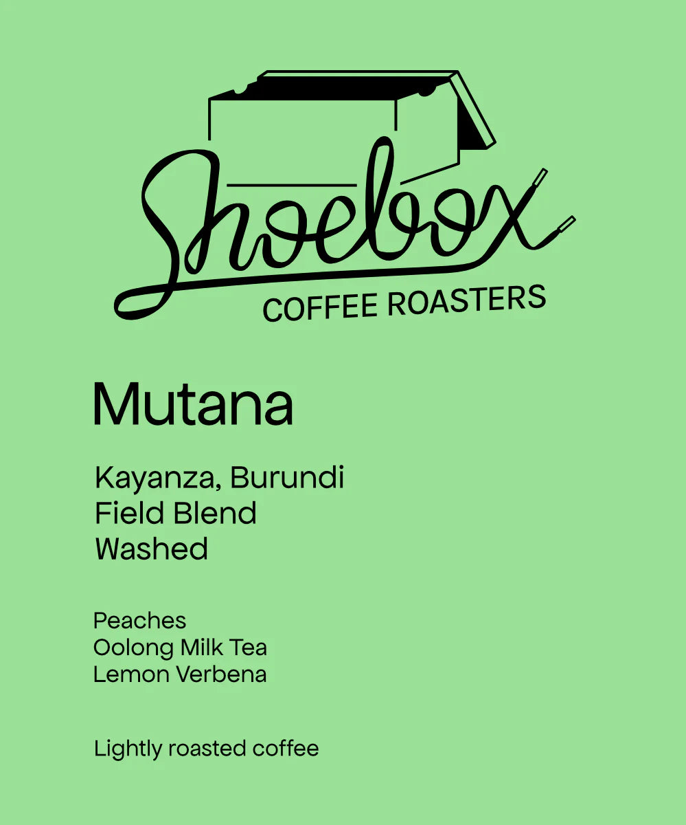 Burundi Mutana Bourbon Washed
