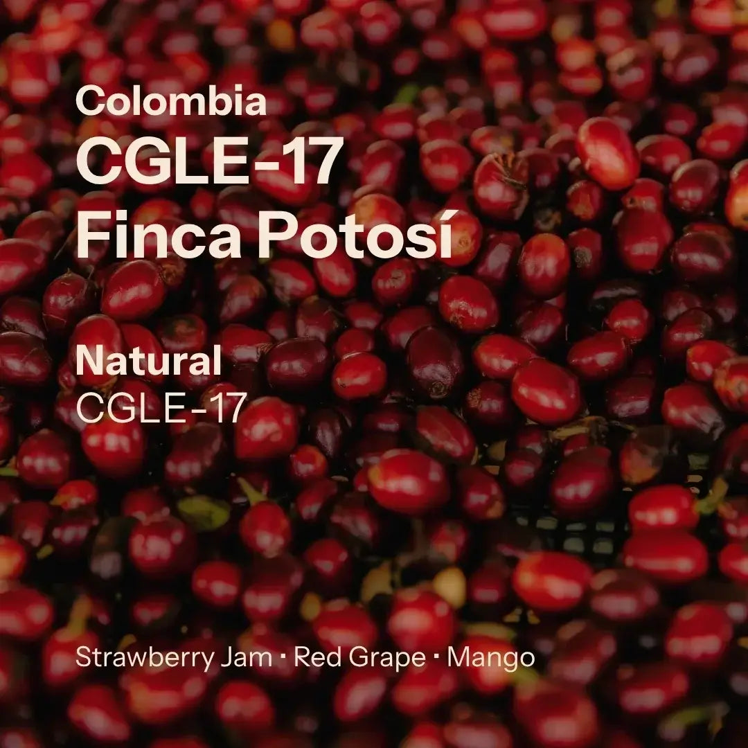 Finca Potosí - CGLE17 - Cafe Granja La Esperanza - Natural - Colombia
