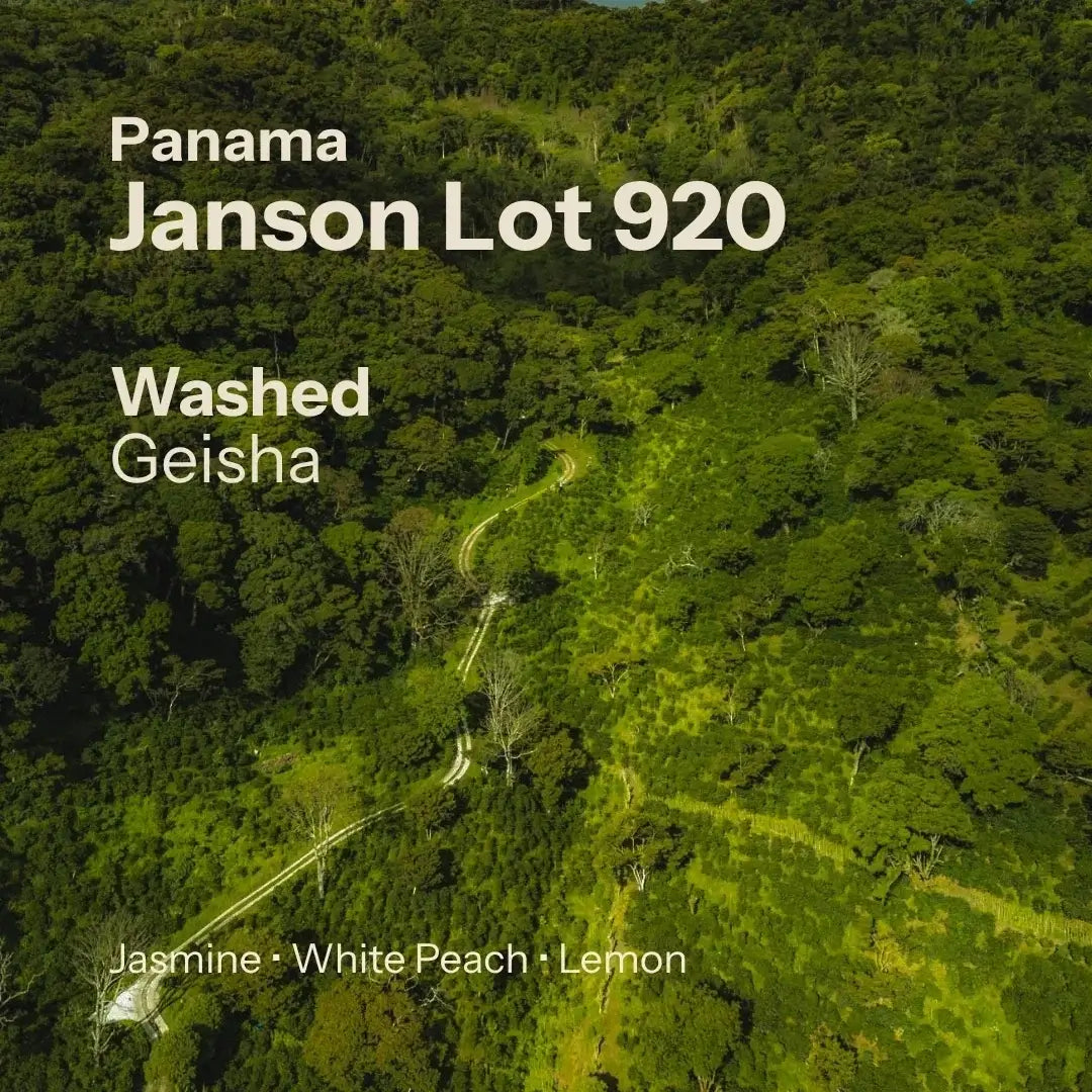 Janson Lot 920 - Janson Alpes - Geisha - Washed - Panama