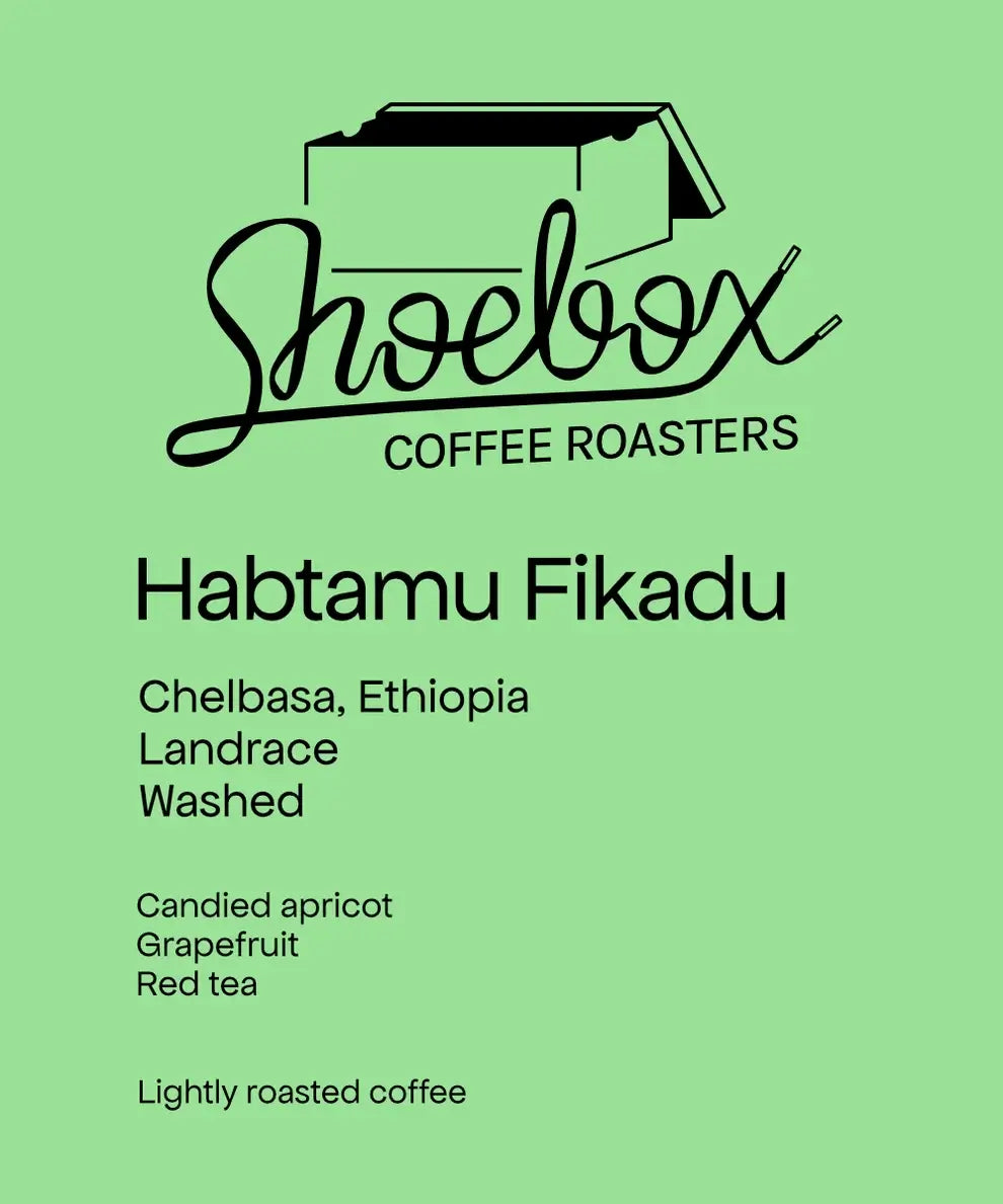Habtamu Fikadu Aga - Landrace - Washed - Ethiopia