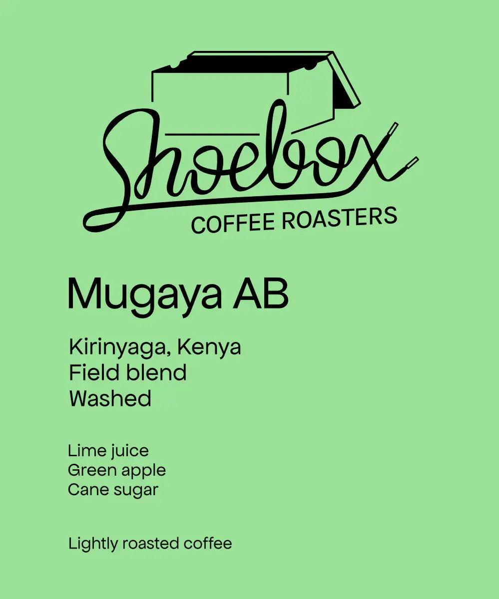 Mugaya AB - Washed - Kenya