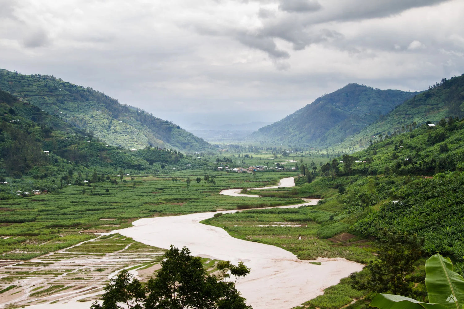 Shyira Anoxic Washed [25/26] - Rwanda