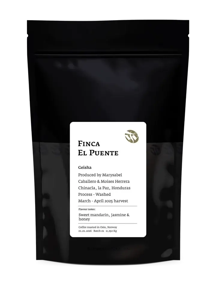 Finca El Puente Geisha - Washed - Honduras
