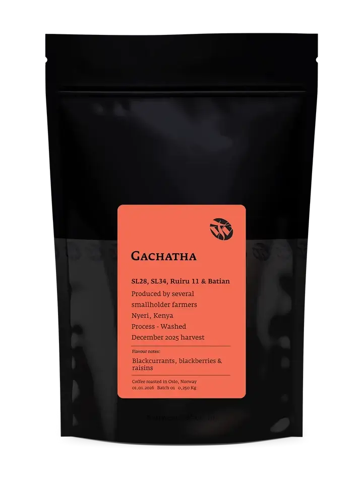 Gachatha - Washed - Kenya
