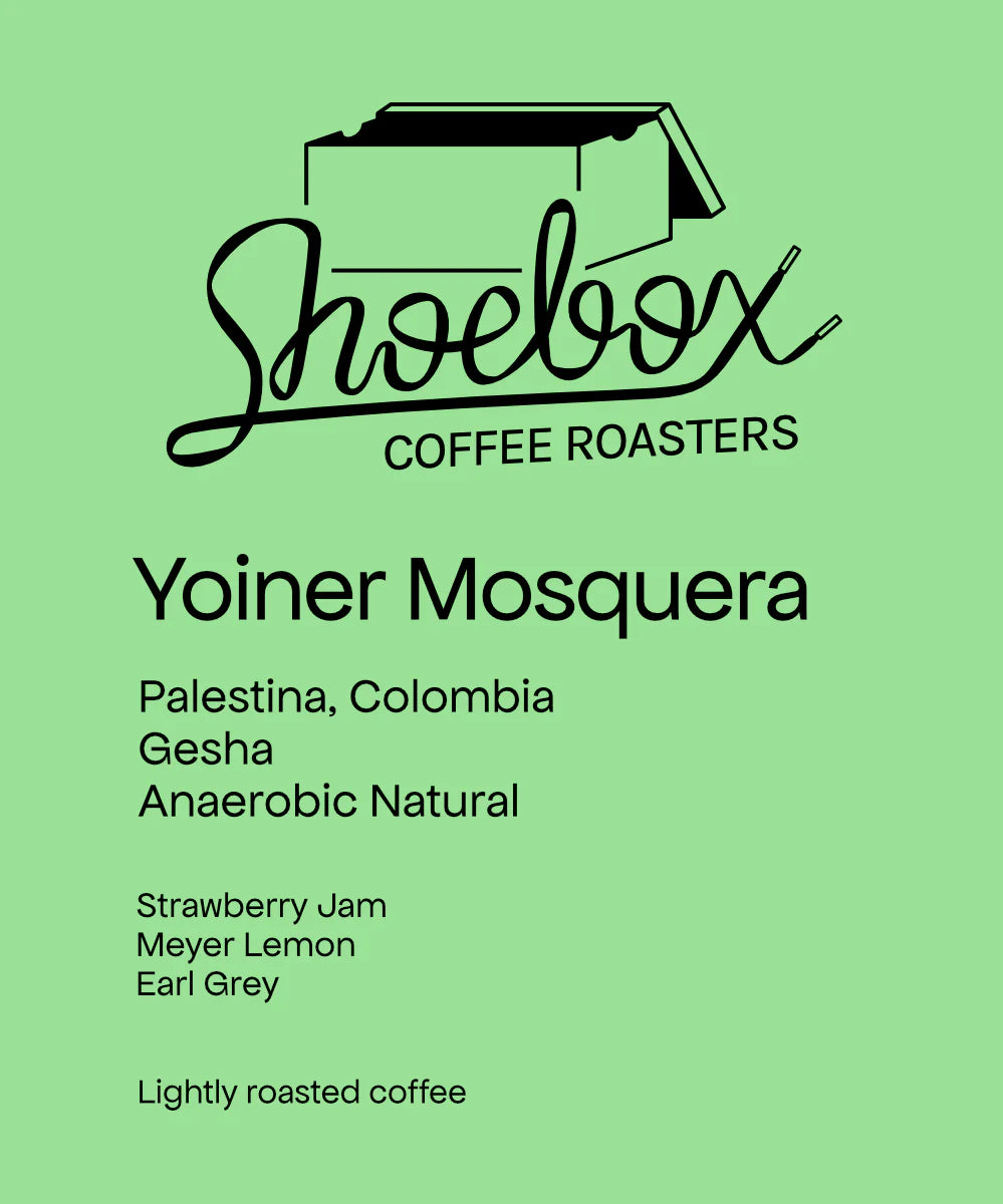 Colombia Yoiner Mosquera Gesha Natural