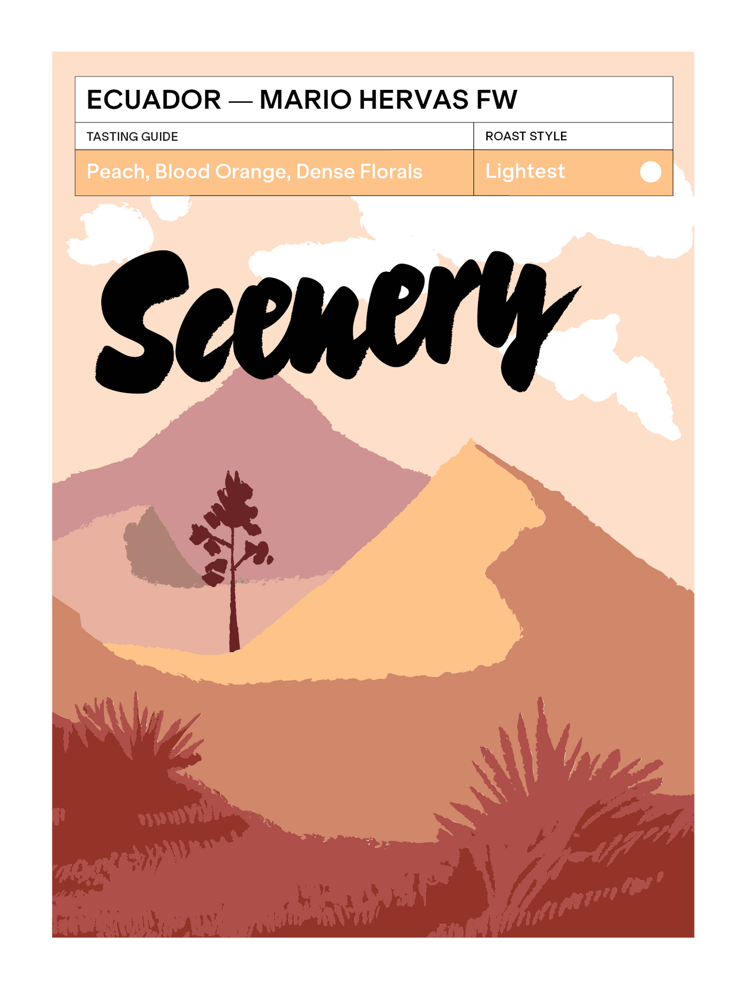 Mario Hervas' Mejorado FW [25/26] - Ecuador