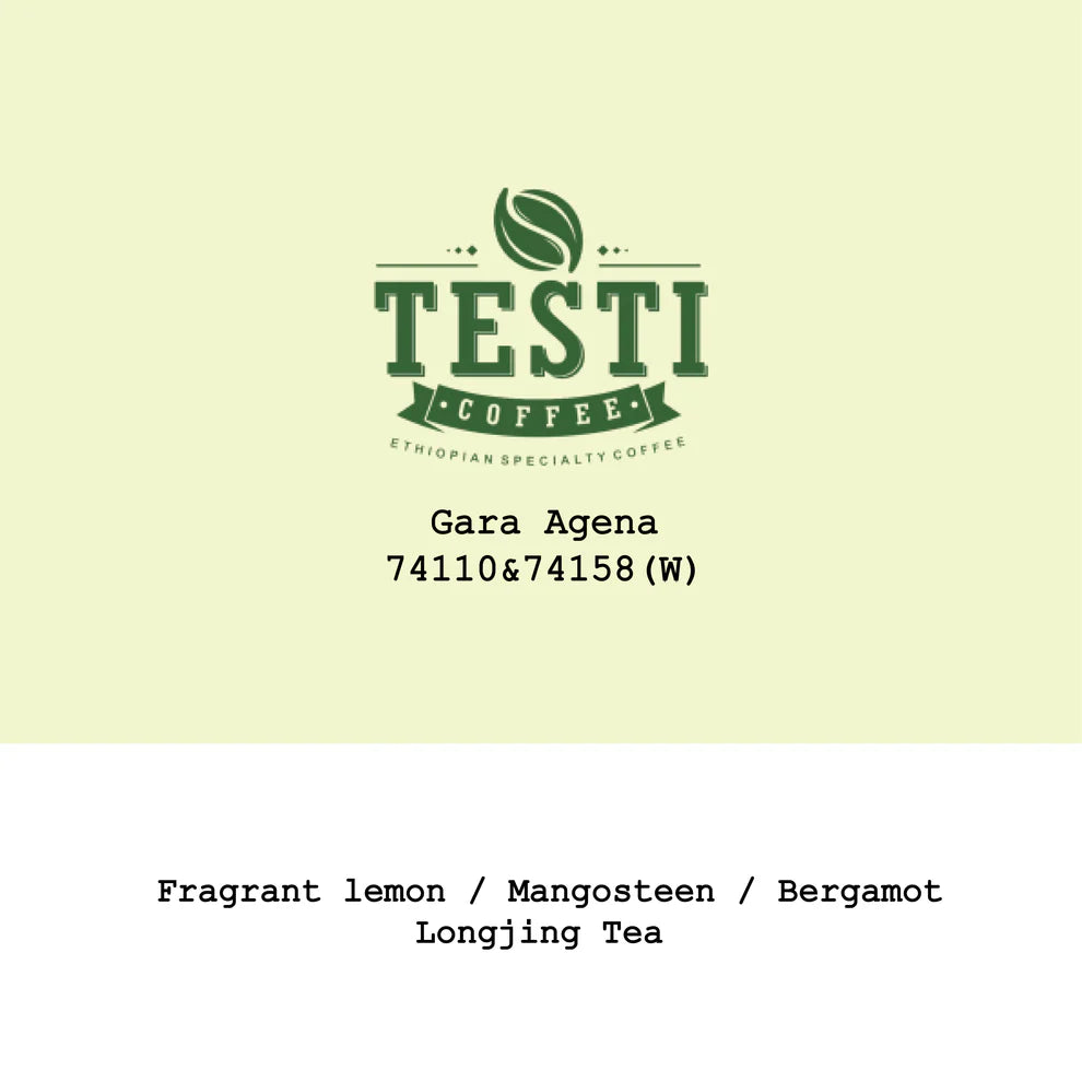 Gara Agena 74110 & 74158 Washed - Ethiopia