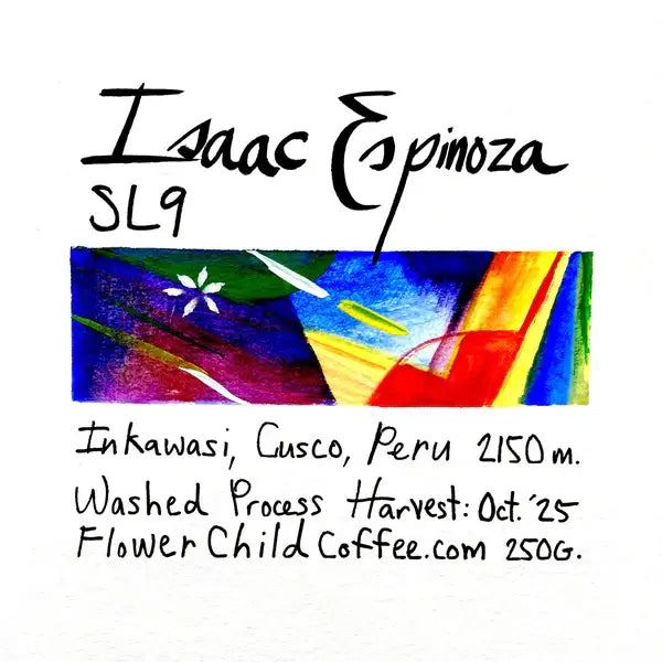 Isaac Espinoza SL9 - Peru