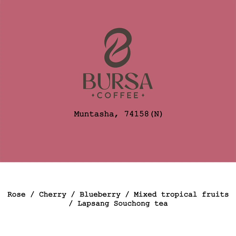 Muntasha 74158 Natural - Ethiopia