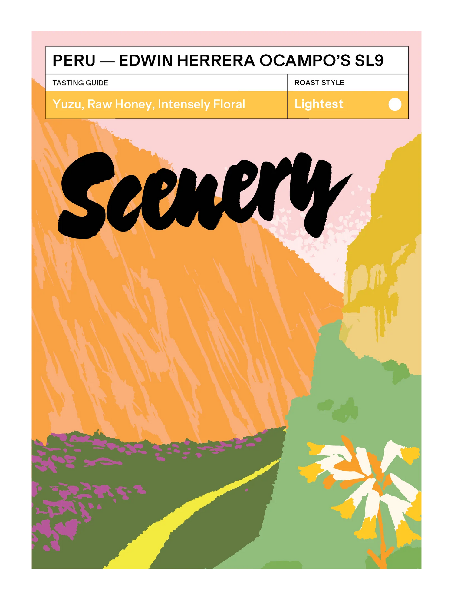 Edwin Herrera Ocampo's SL9 - Peru